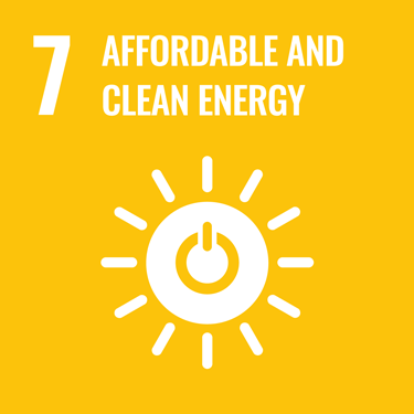 SDG ICON. Goal 7: Affordable and clean energy