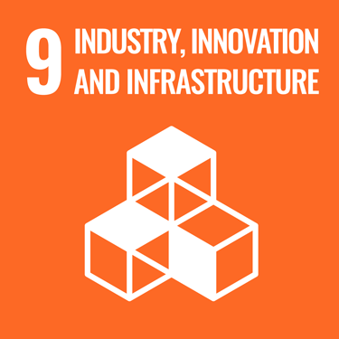 SDG ICON. Goal 9: Industry, innovation, infrastructure
