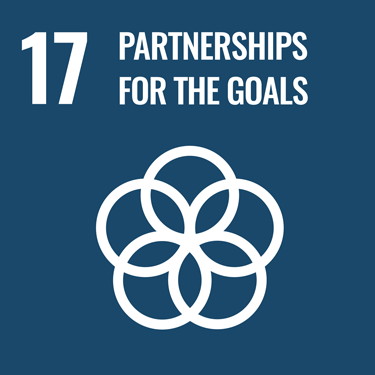 SDG ICON. Goal 17: Partnerships for the goals