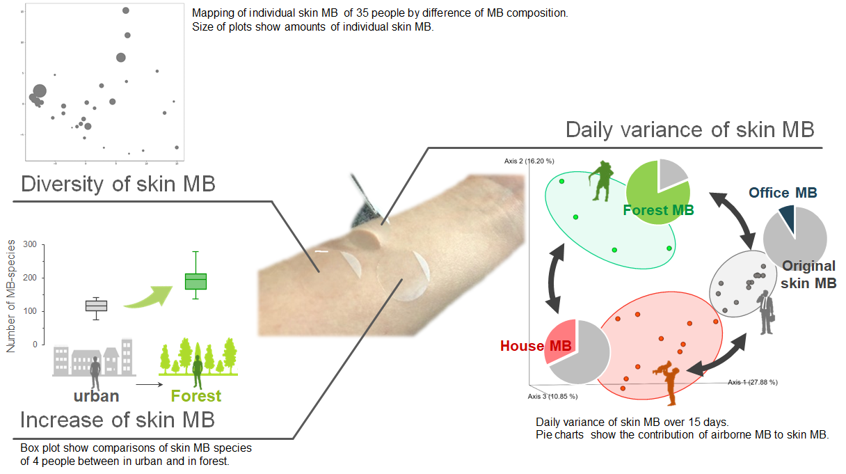 Visualization of skin microbiomes and impact of air quality,  showing sampling method, diversity and dairy variance of skin MB.